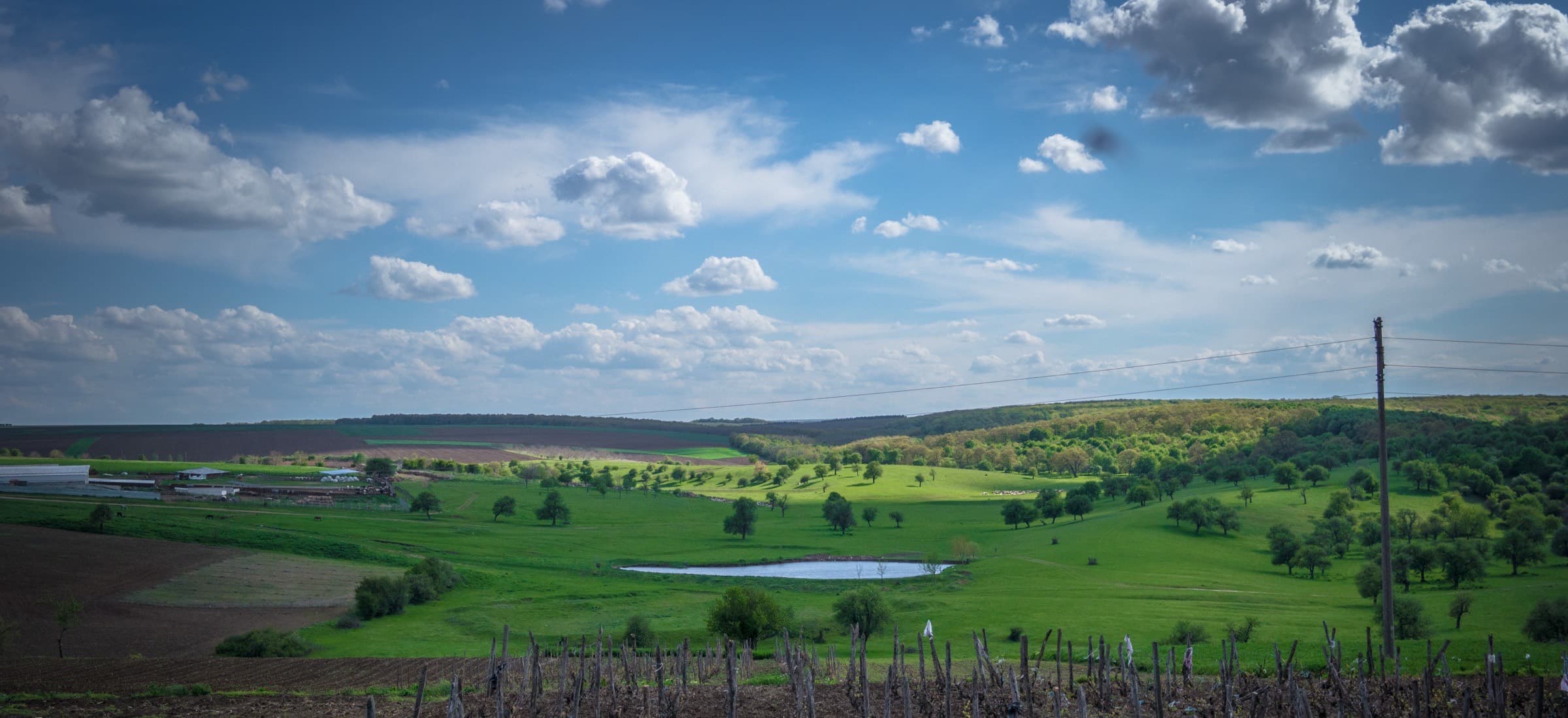 Vineyards in Bulgarian wine country